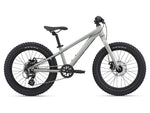 Giant 20" STP