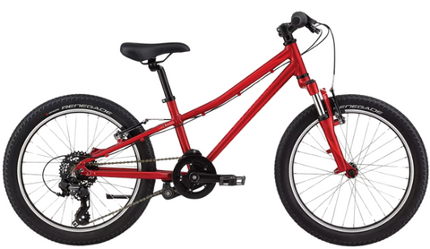 Specialized Hotrock 20"