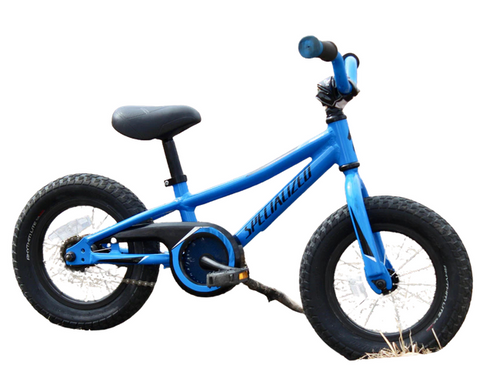 Specialized Riprock Coaster 12"